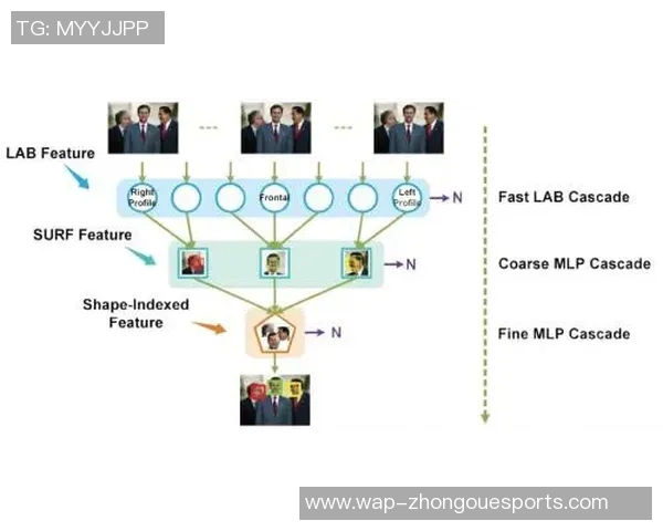 esports数据独家解析V5技术优势与其他版本的全面对比分析