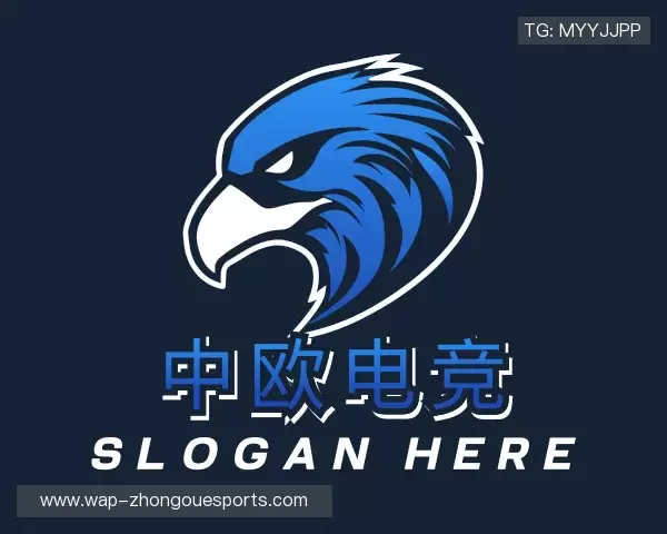 解读中欧电竞